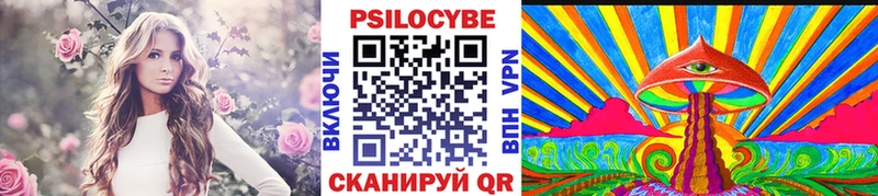 МЕГА вход  Красавино  Галлюциногенные грибы Cubensis  наркотики 